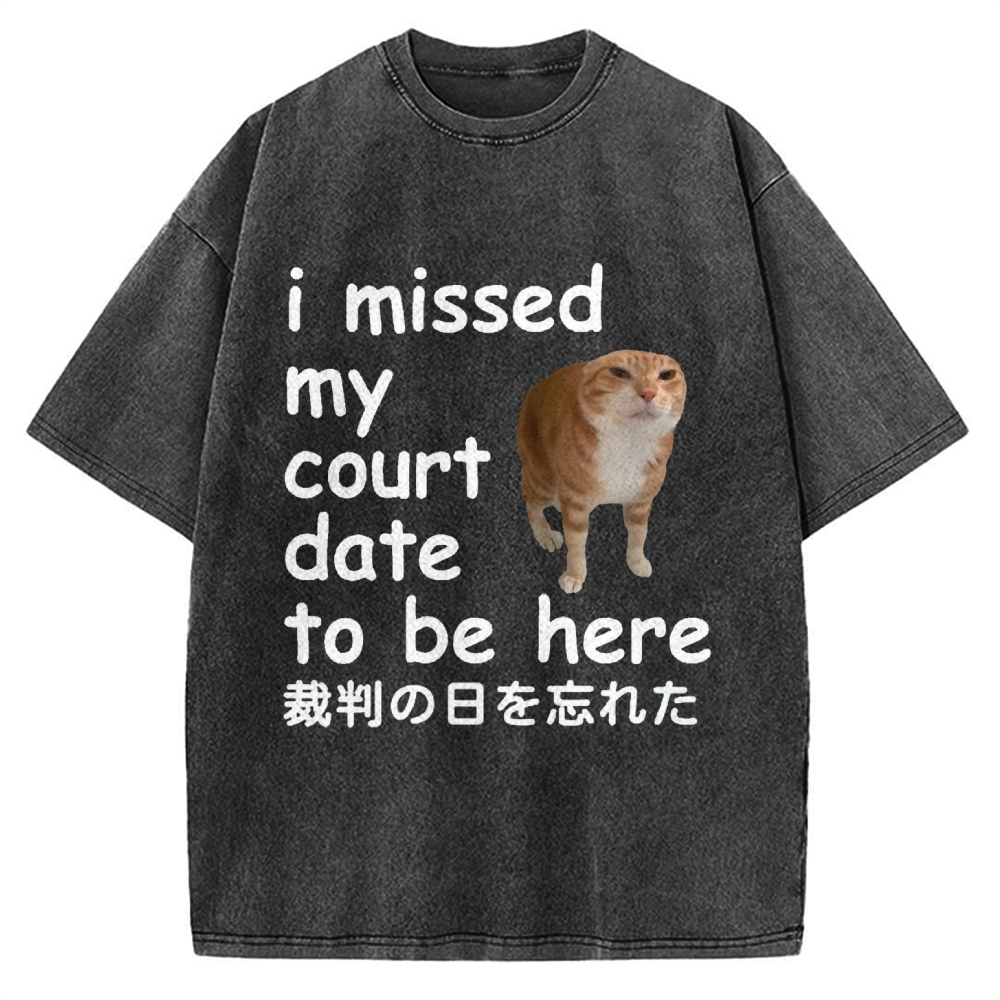 I Missed My Court Date to Be Here Funny Cat Meme Vintage Washed T-shirt