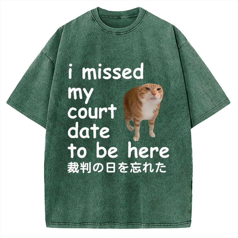 I Missed My Court Date to Be Here Funny Cat Meme Vintage Washed T-shirt