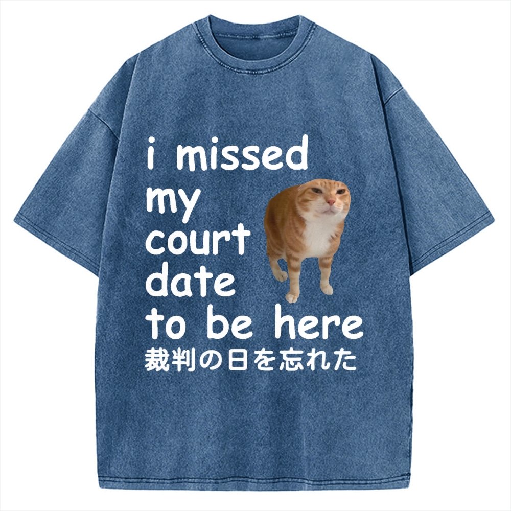 I Missed My Court Date to Be Here Funny Cat Meme Vintage Washed T-shirt