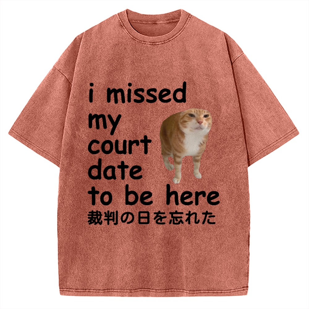 I Missed My Court Date to Be Here Funny Cat Meme Vintage Washed T-shirt