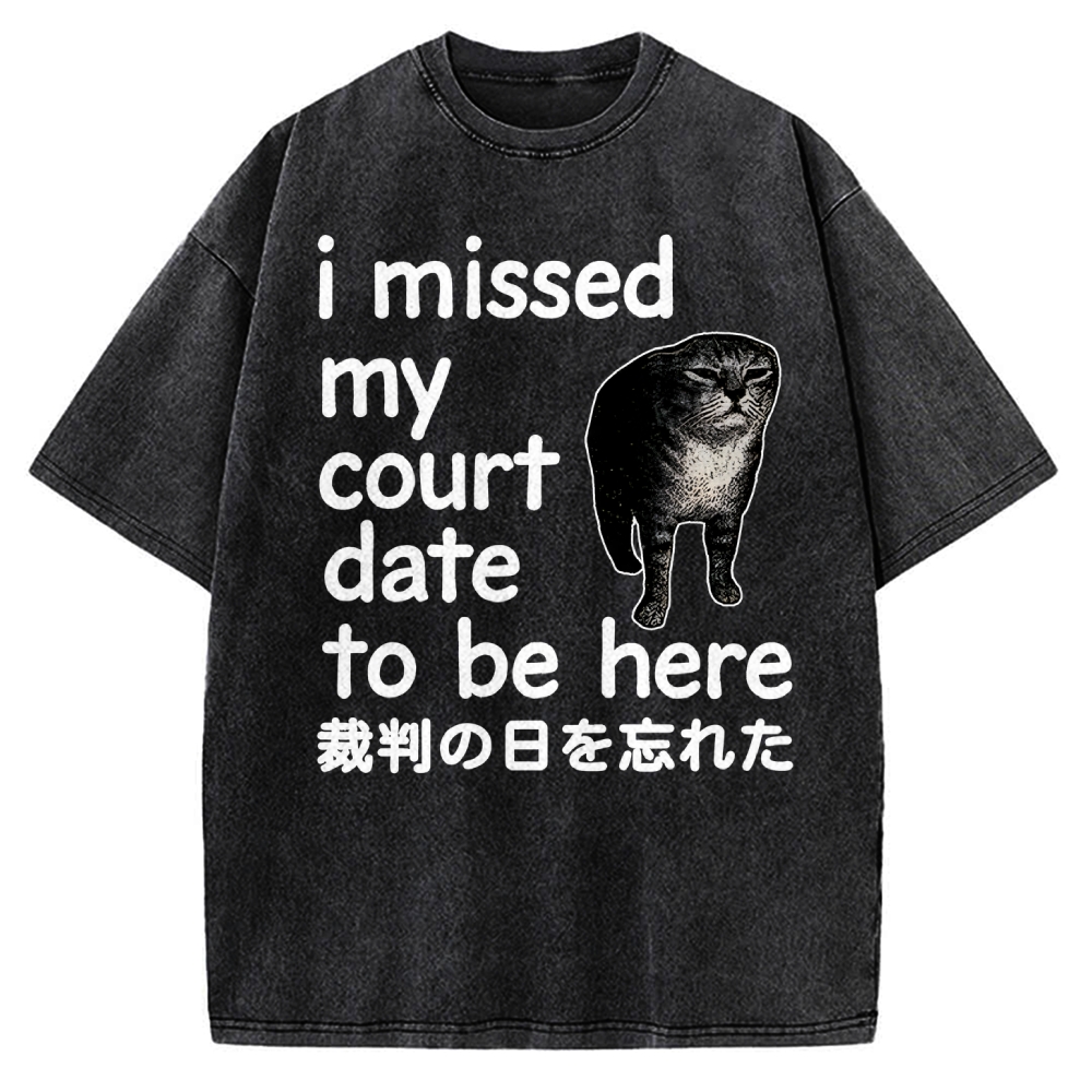 Funny Forgetful Cat Vintage Washed T-shirt