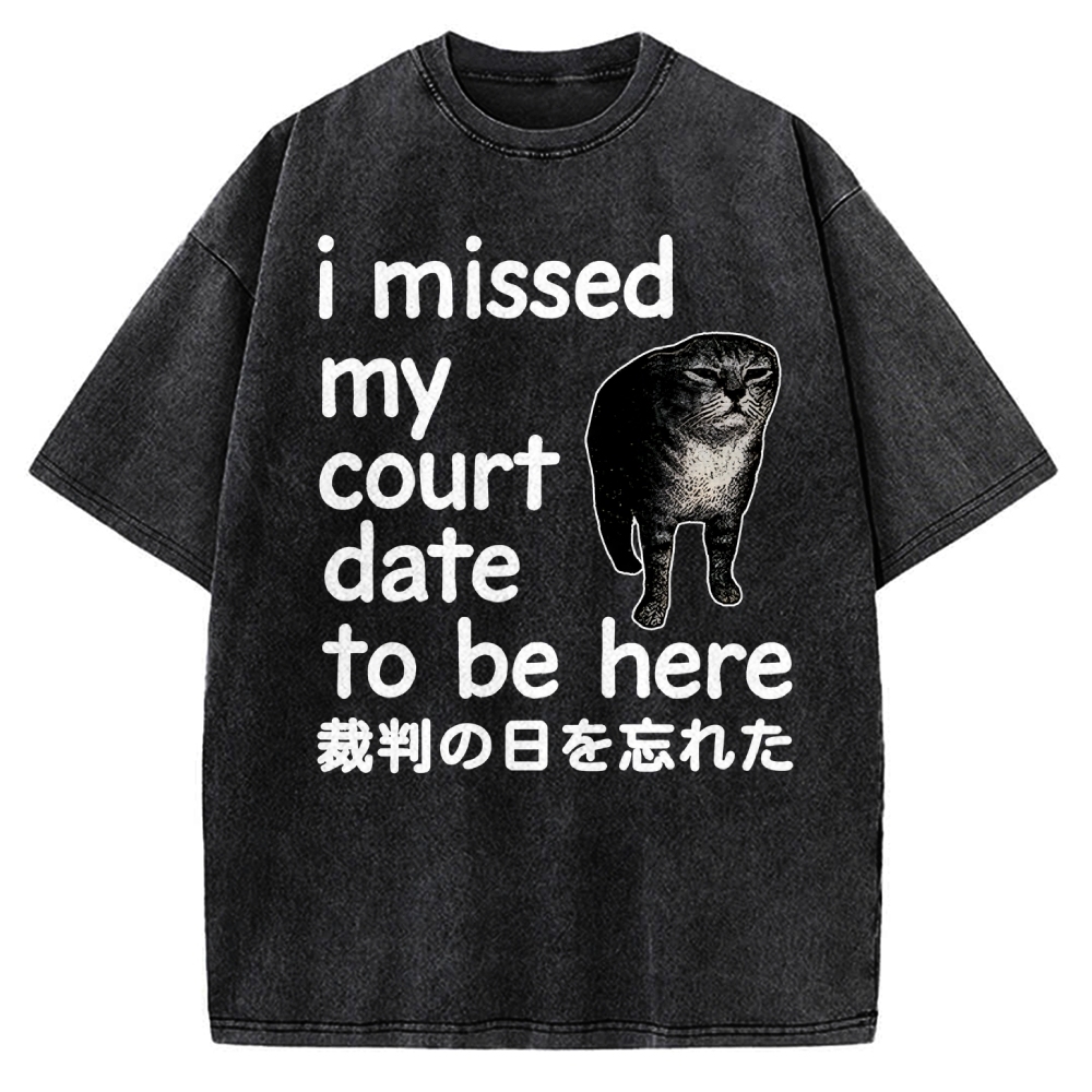 Funny Forgetful Cat Vintage Washed T-shirt