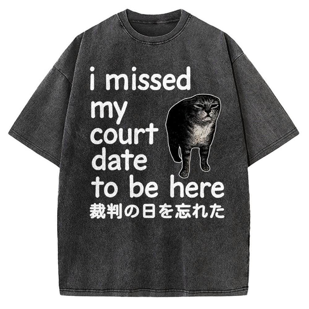 Funny Forgetful Cat Vintage Washed T-shirt