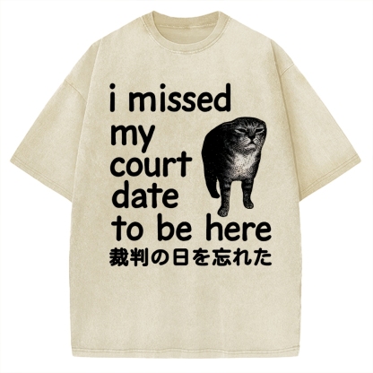 Funny Forgetful Cat Vintage Washed T-shirt