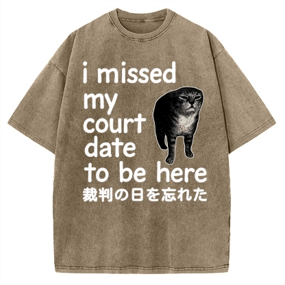 Funny Forgetful Cat Vintage Washed T-shirt