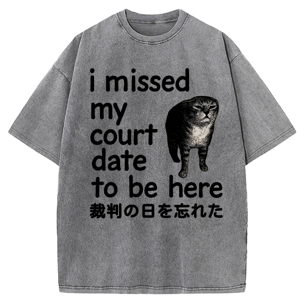 Funny Forgetful Cat Vintage Washed T-shirt