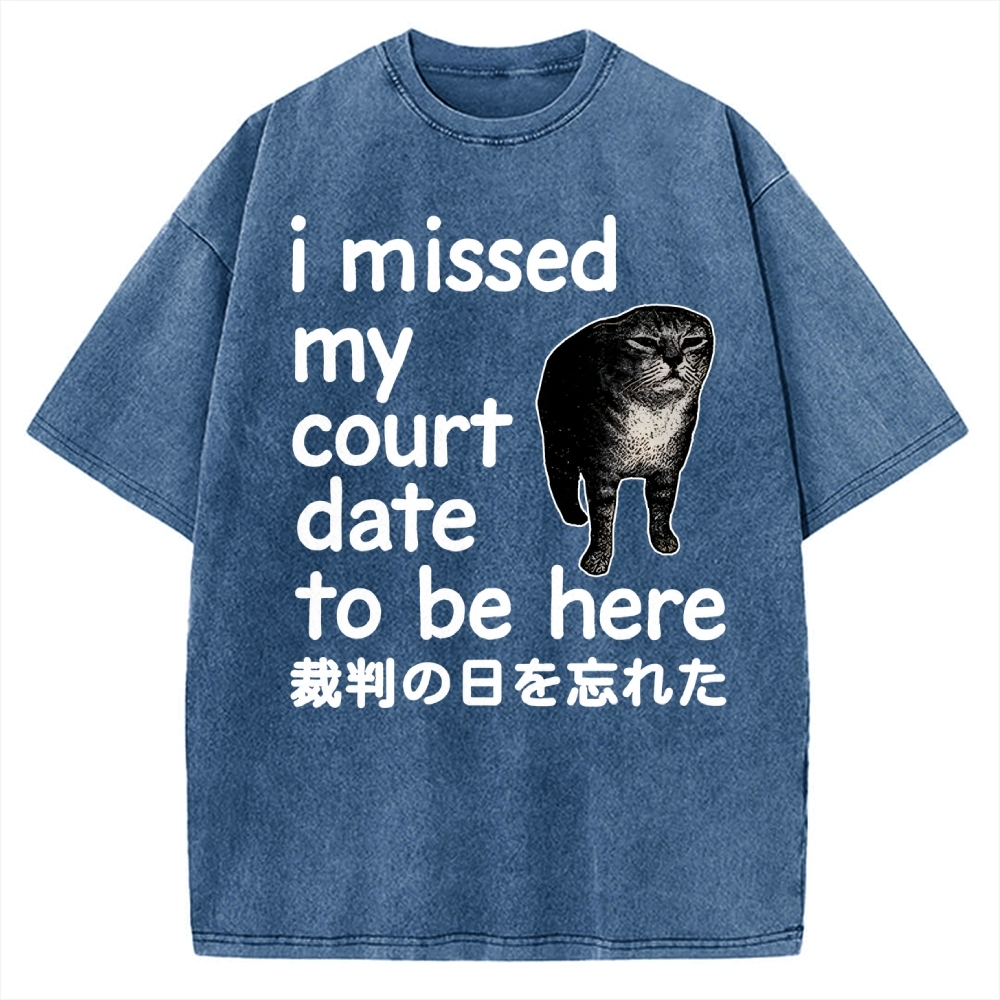 Funny Forgetful Cat Vintage Washed T-shirt