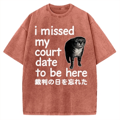 Funny Forgetful Cat Vintage Washed T-shirt