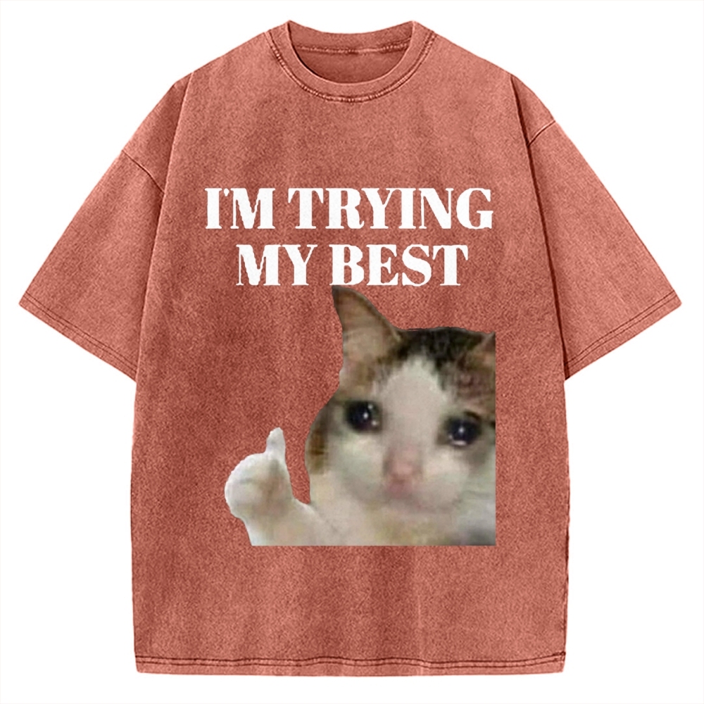 I'm Trying My Best Sad cat meme Vintage Washed T-shirt