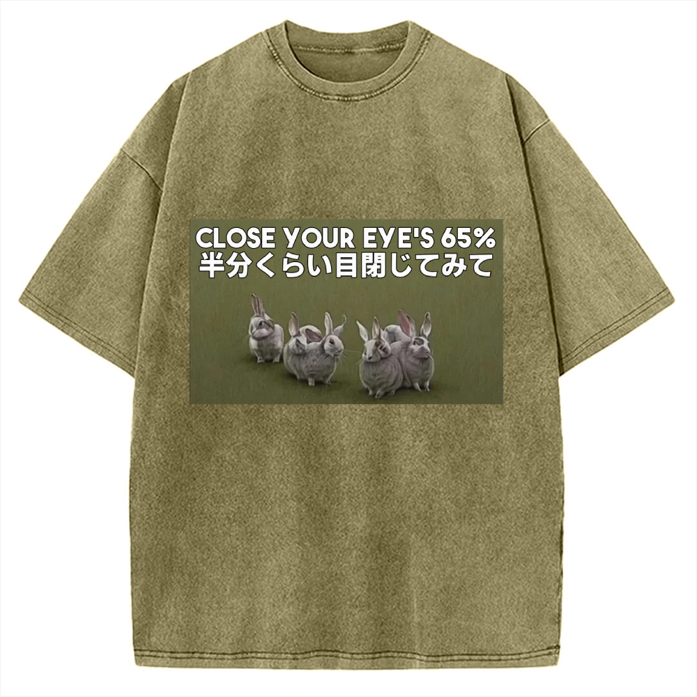 Funny Rabbit Vintage Washed T-shirt