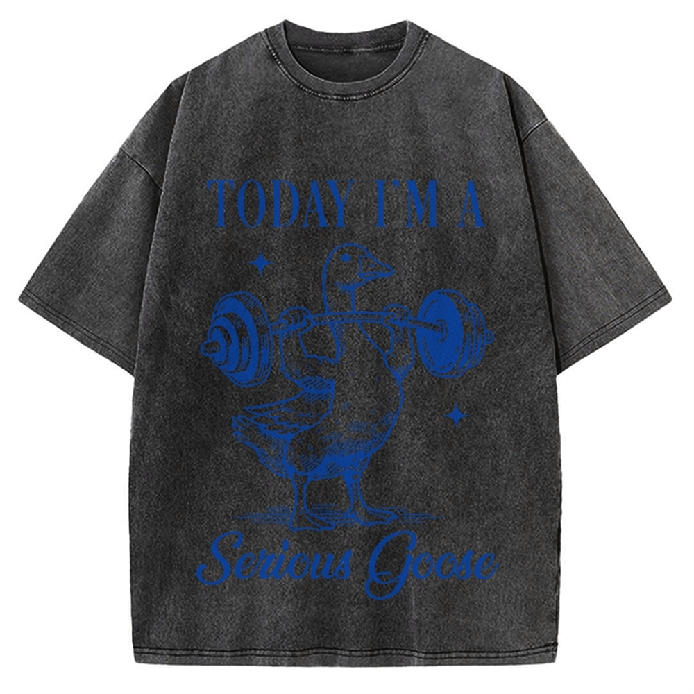 Today I'm A Serious Goose Vintage Washed T-shirt