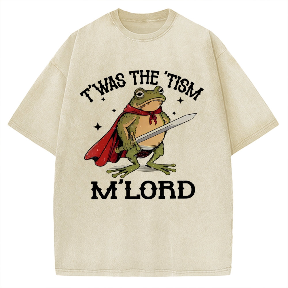 T'was the 'Tism M'Lord Shirt, Funny Autism Vintage Washed T-shirt