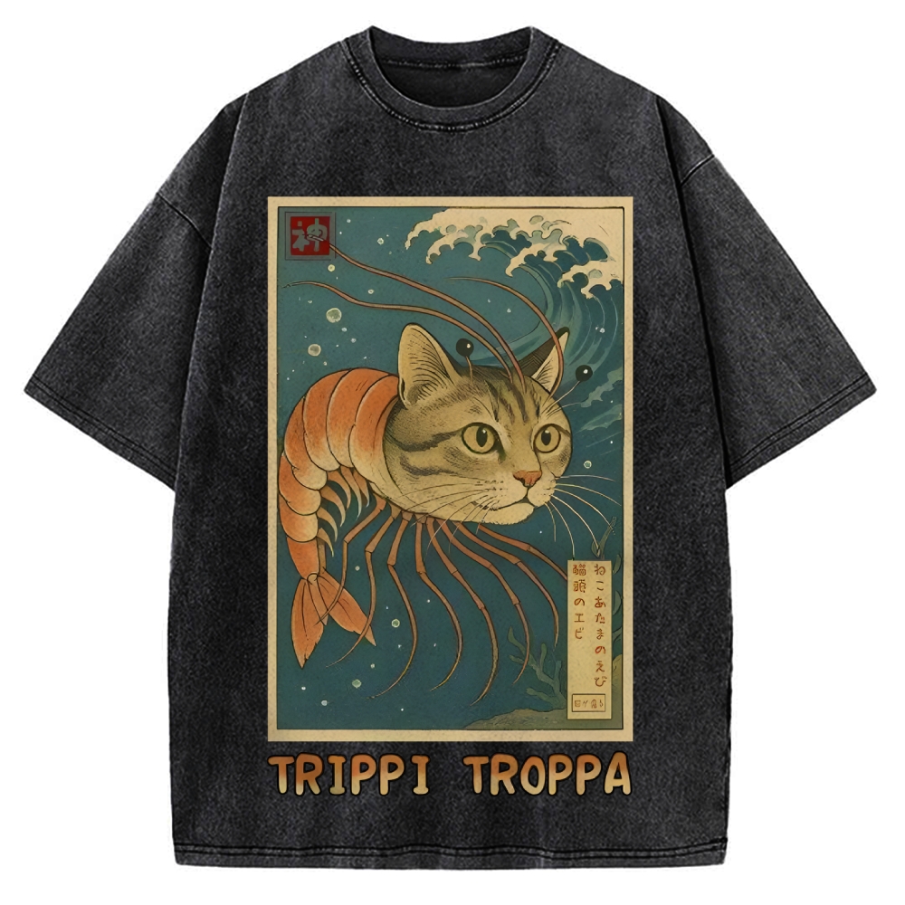 Trippi Troppa Brainrot Vintage Washed T-shirt