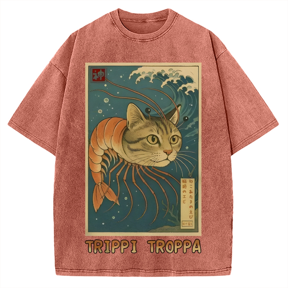 Trippi Troppa Brainrot Vintage Washed T-shirt