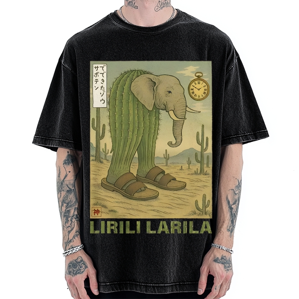 Lirili Larila Funny Italian Brainrot Meme Vintage Washed T-shirt