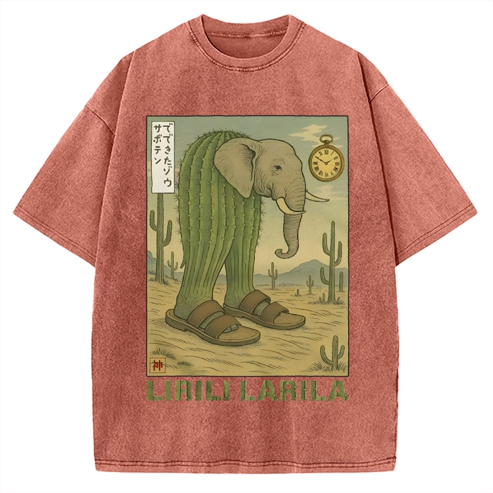 Lirili Larila Funny Italian Brainrot Meme Vintage Washed T-shirt