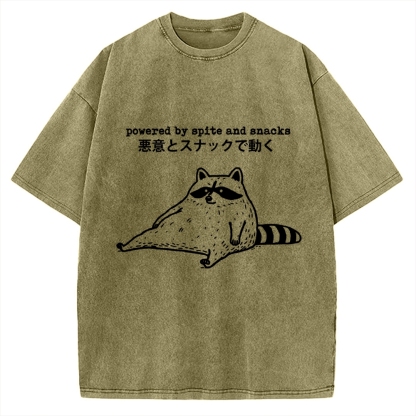 Power By Spite and Snacks Vintage Washed T-shirt
