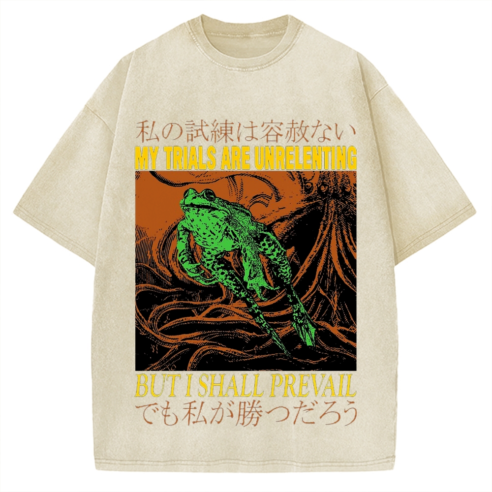 My Trials Are Unrelenting Frog Horror Vintage Washed T-shirt
