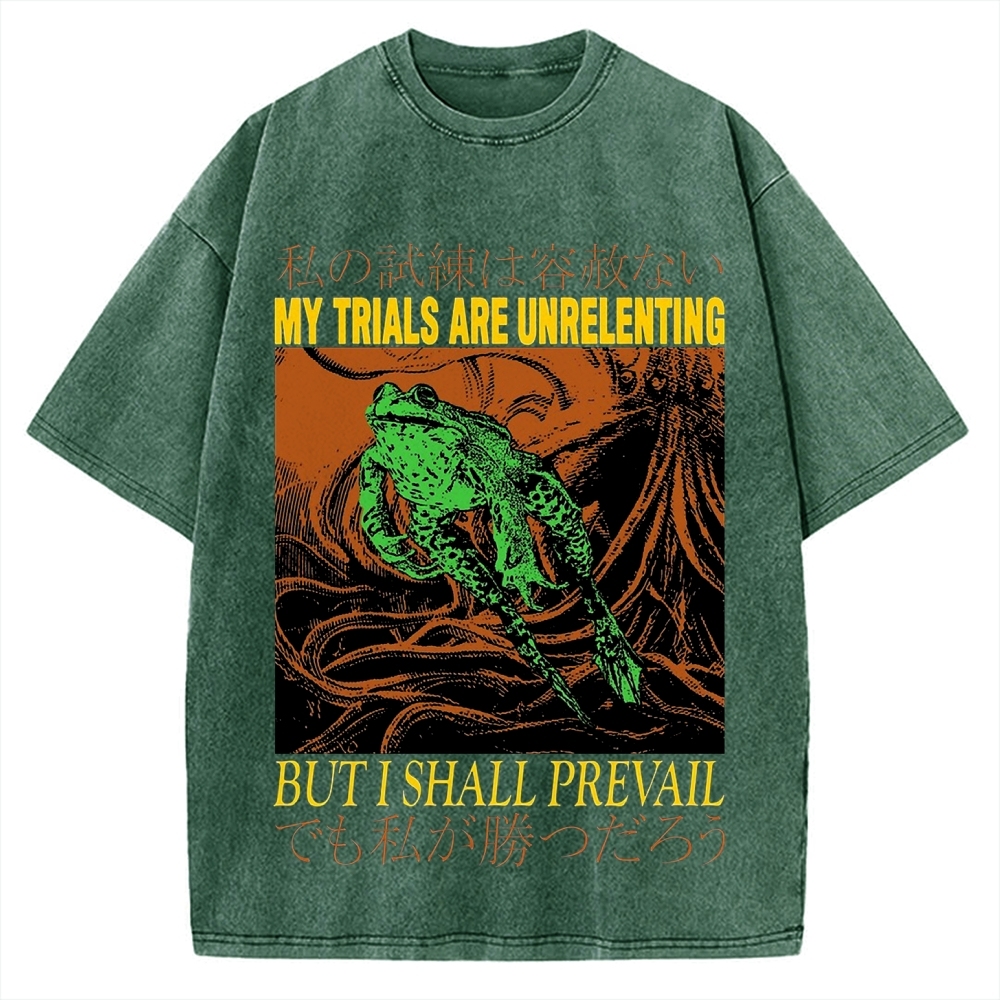 My Trials Are Unrelenting Frog Horror Vintage Washed T-shirt
