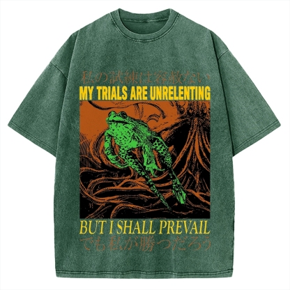 My Trials Are Unrelenting Frog Horror Vintage Washed T-shirt