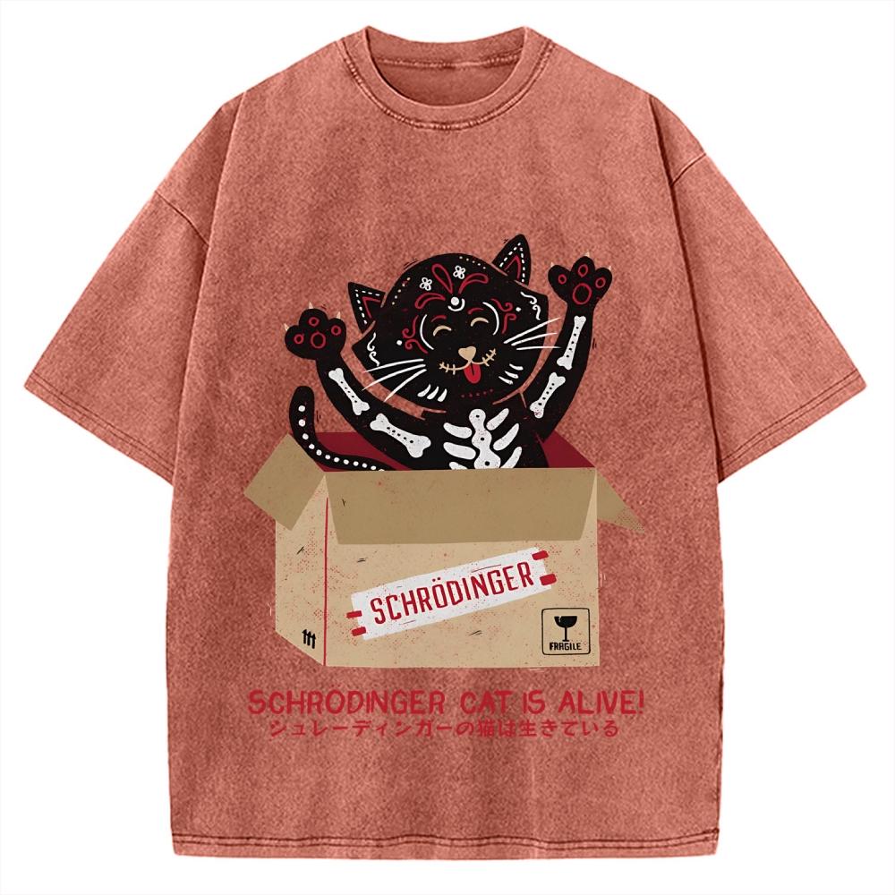 Schrödinger's cat is alive! Vintage Washed T-shirt