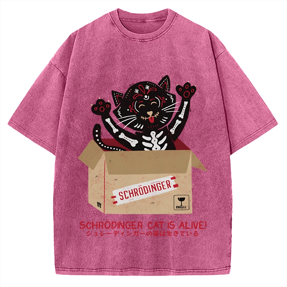 Schrödinger's cat is alive! Vintage Washed T-shirt