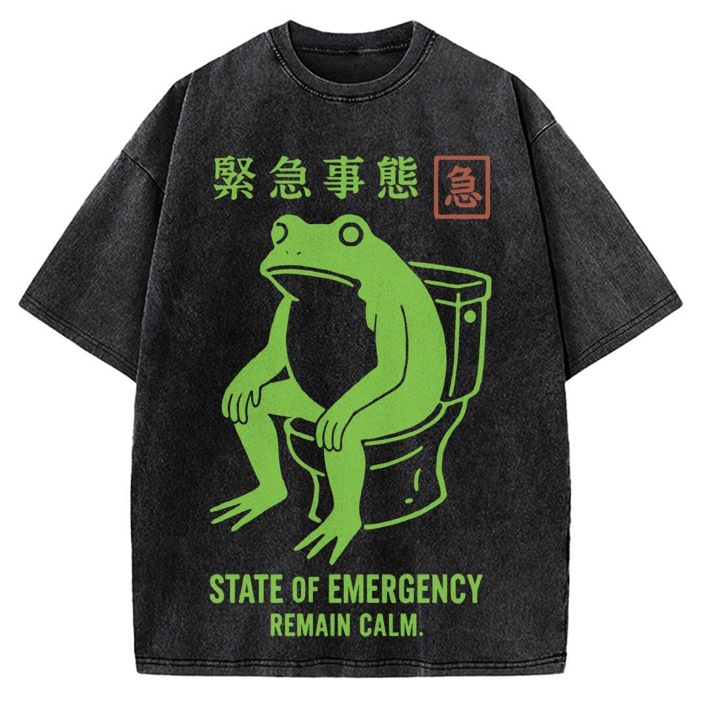 State of Emergency Funny Frog Vintage Washed T-shirt
