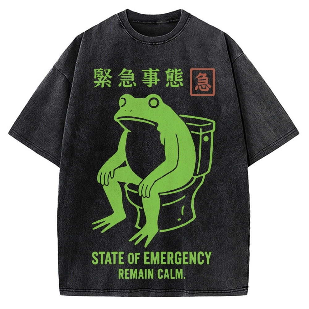 State of Emergency Funny Frog Vintage Washed T-shirt