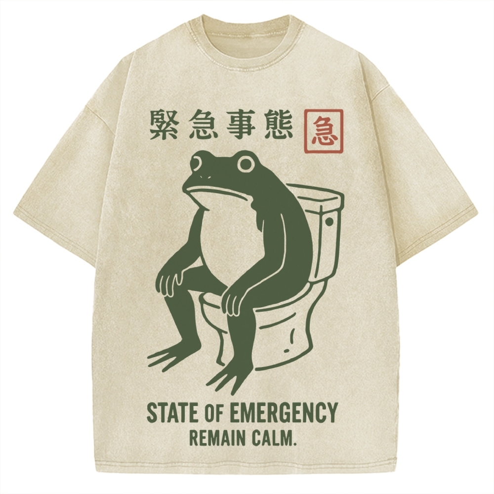 State of Emergency Funny Frog Vintage Washed T-shirt