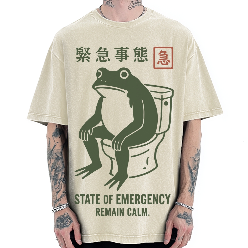 State of Emergency Funny Frog Vintage Washed T-shirt