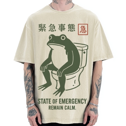 State of Emergency Funny Frog Vintage Washed T-shirt