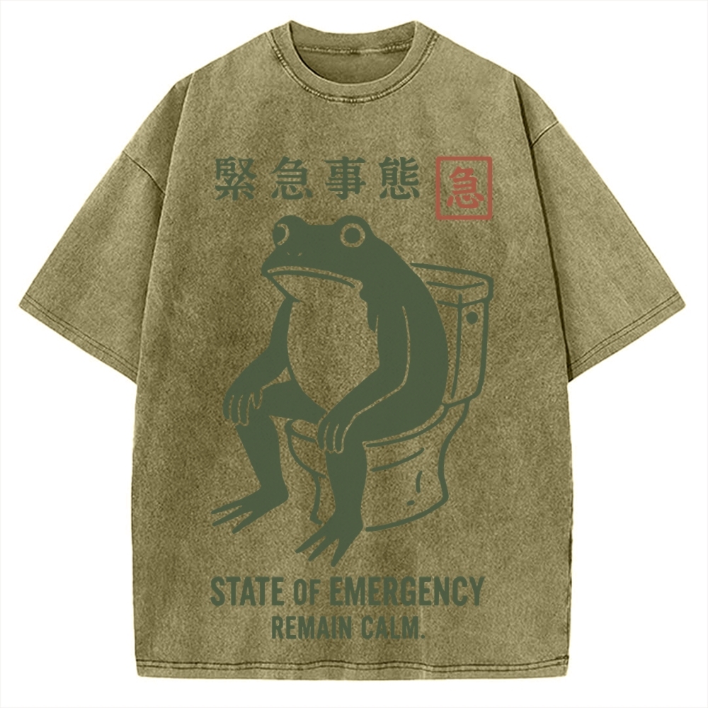 State of Emergency Funny Frog Vintage Washed T-shirt