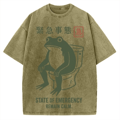 State of Emergency Funny Frog Vintage Washed T-shirt