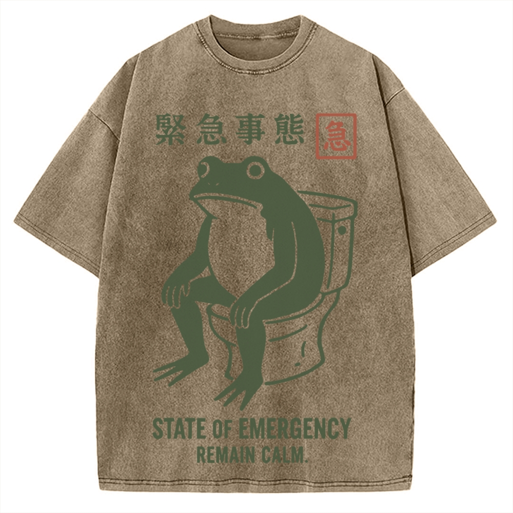 State of Emergency Funny Frog Vintage Washed T-shirt