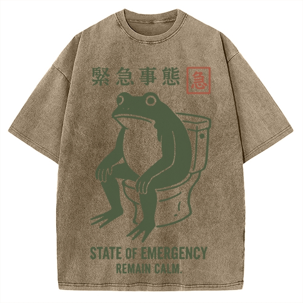 State of Emergency Funny Frog Vintage Washed T-shirt