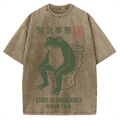 State of Emergency Funny Frog Vintage Washed T-shirt