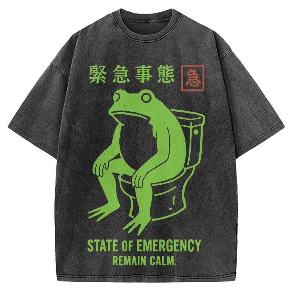 State of Emergency Funny Frog Vintage Washed T-shirt