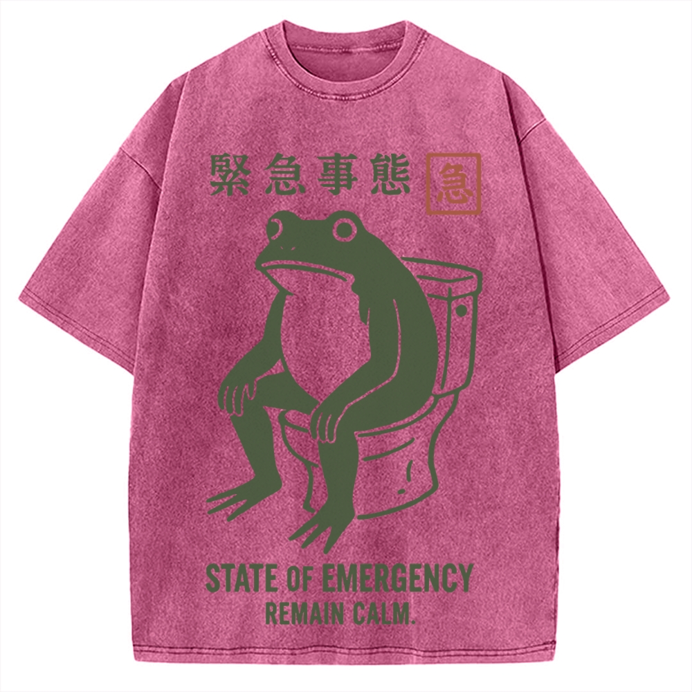 State of Emergency Funny Frog Vintage Washed T-shirt