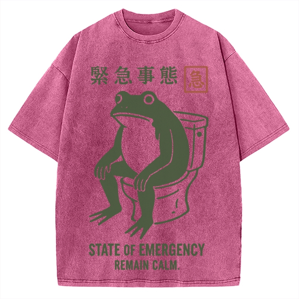 State of Emergency Funny Frog Vintage Washed T-shirt