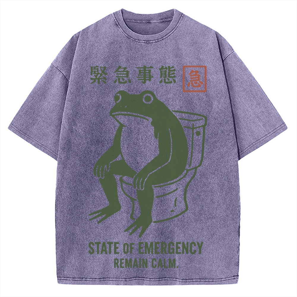 State of Emergency Funny Frog Vintage Washed T-shirt