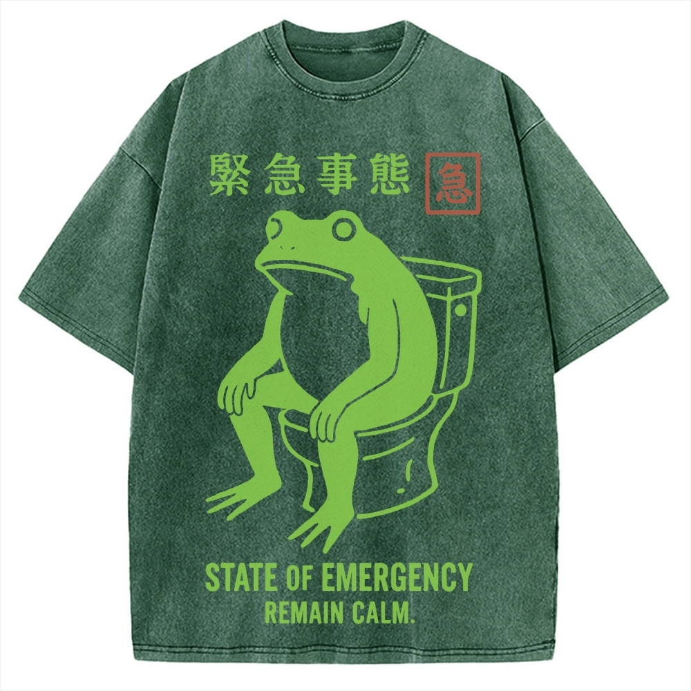 State of Emergency Funny Frog Vintage Washed T-shirt