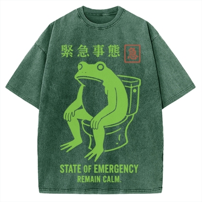 State of Emergency Funny Frog Vintage Washed T-shirt