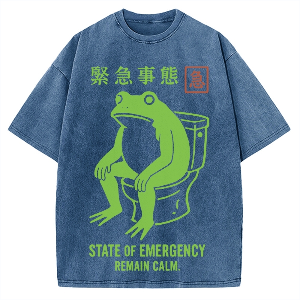 State of Emergency Funny Frog Vintage Washed T-shirt