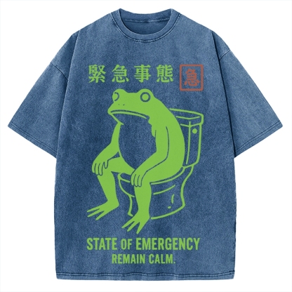 State of Emergency Funny Frog Vintage Washed T-shirt