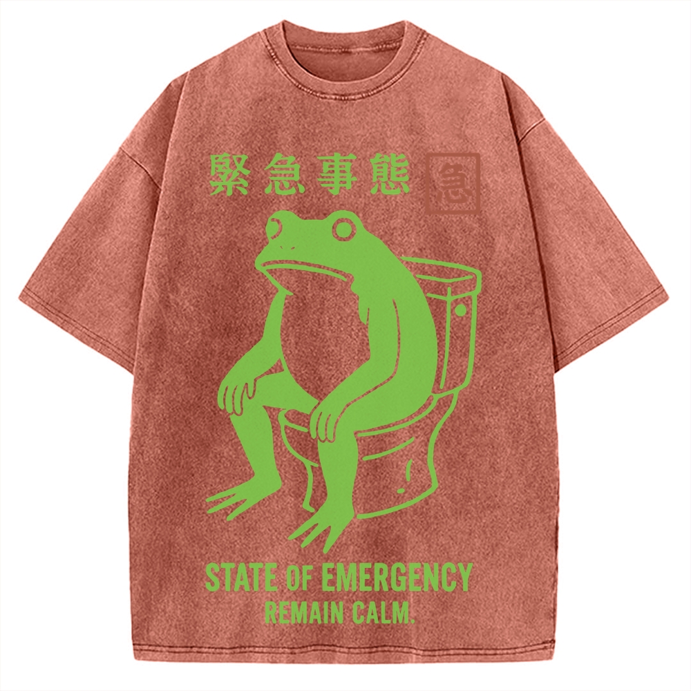 State of Emergency Funny Frog Vintage Washed T-shirt