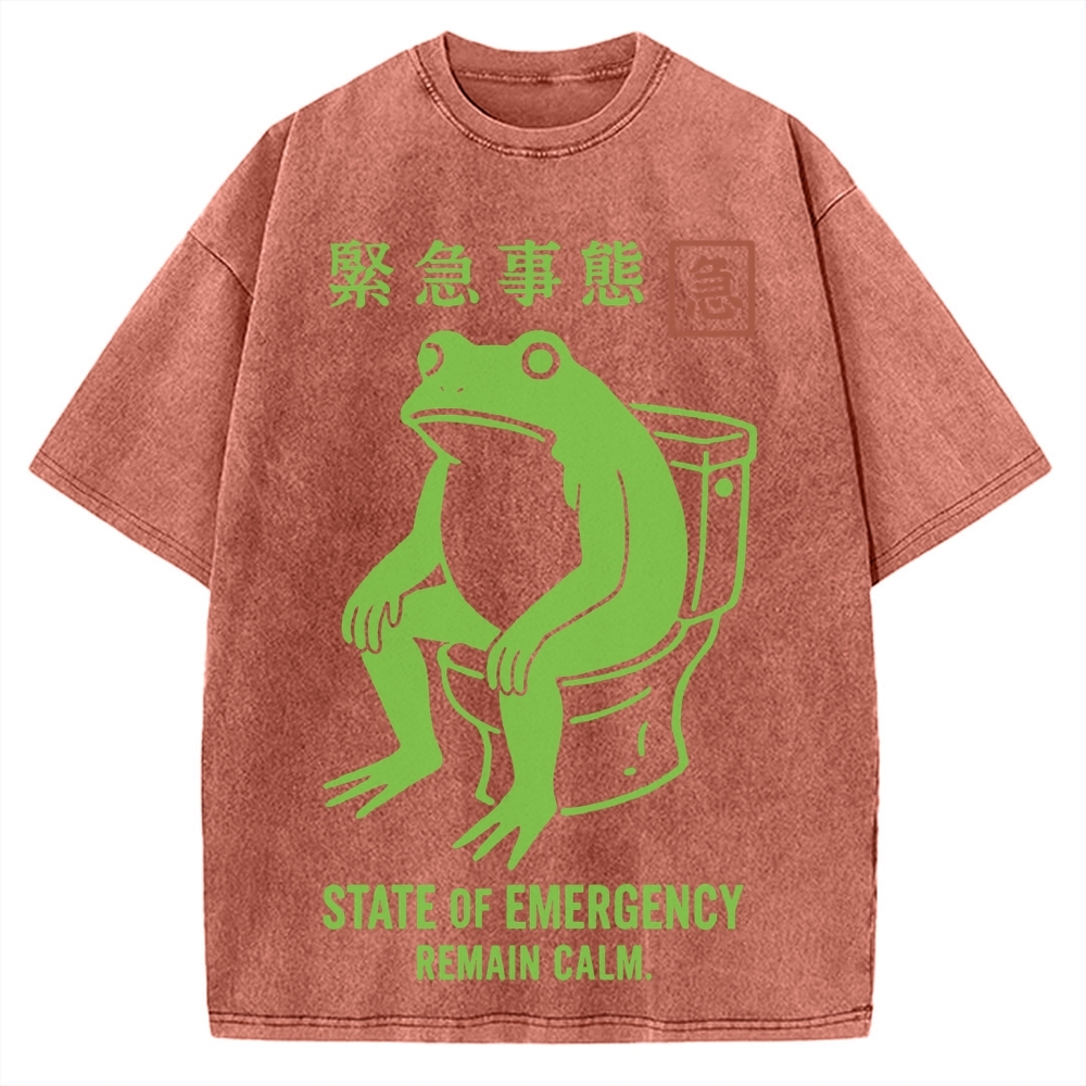 State of Emergency Funny Frog Vintage Washed T-shirt
