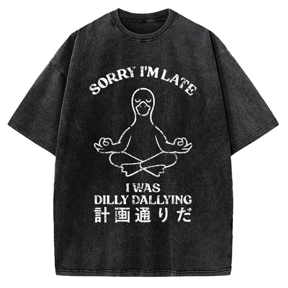 Sorry I'm Late I Was Dilly Dallying Vintage Washed T-shirt