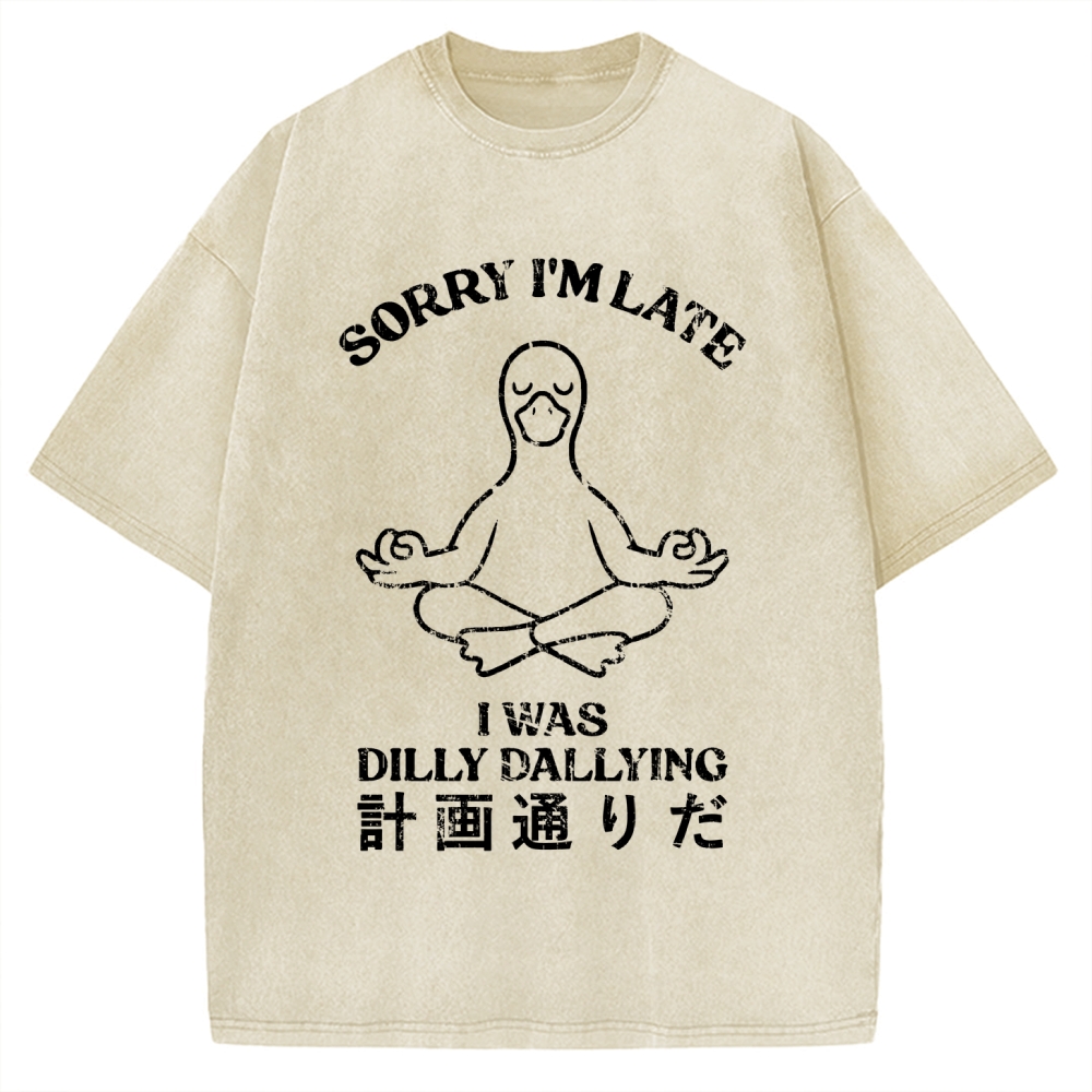 Sorry I'm Late I Was Dilly Dallying Vintage Washed T-shirt
