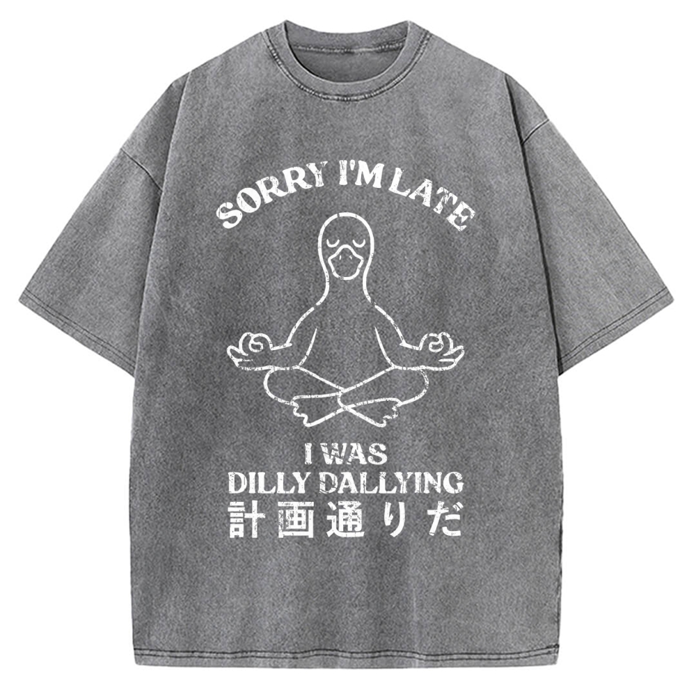 Sorry I'm Late I Was Dilly Dallying Vintage Washed T-shirt