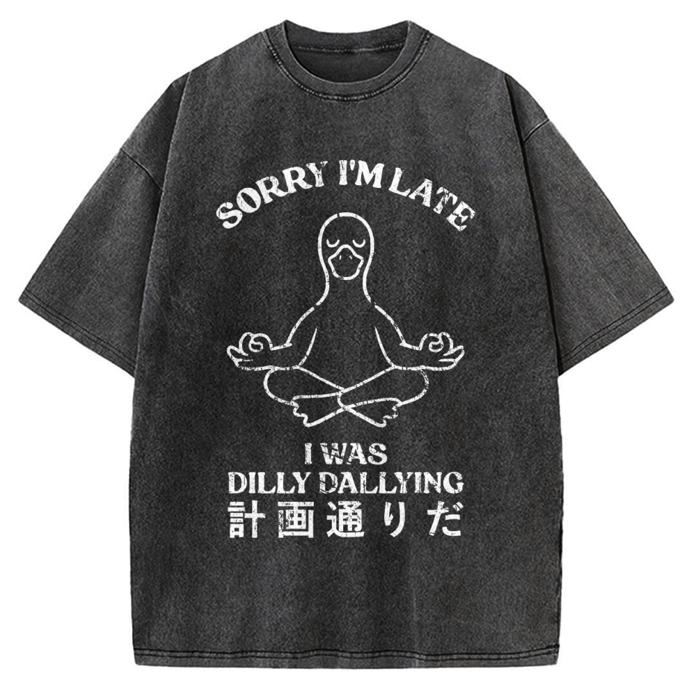 Sorry I'm Late I Was Dilly Dallying Vintage Washed T-shirt